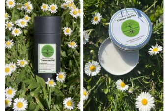 Déodorant solide "Caresse des Prés" au macérat de Pâquerettes