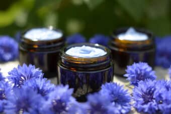 Crème Hydratation Intense au Bleuet