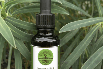 Soin aromatique SENTINELLE (IMMUNITÉ)