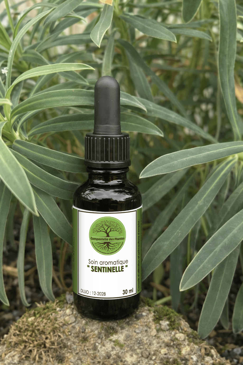 Soin aromatique SENTINELLE (IMMUNITÉ)